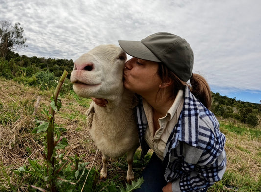Cultivating Life: Livestock Grazed Regeneratively vs. Monocropping