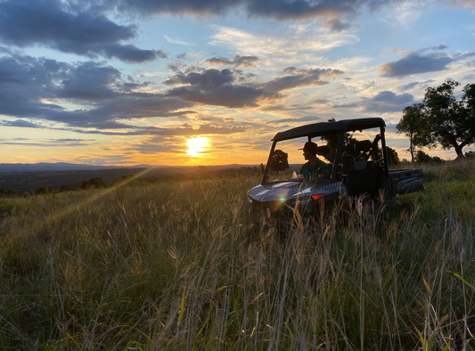 Rethinking Weeds: Nature's Allies on Firebreak Farm