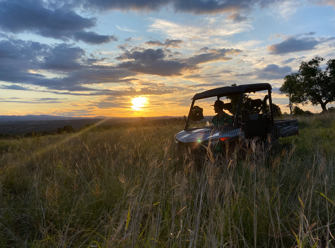 Firebreak Farm Firebreak Farm - Buy Fresh, Ethical & Regenerative Meat Online
